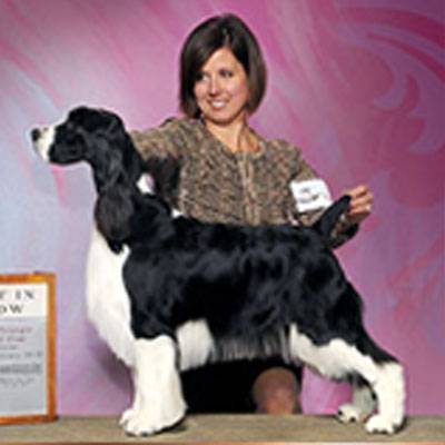 Dog Handling Callout