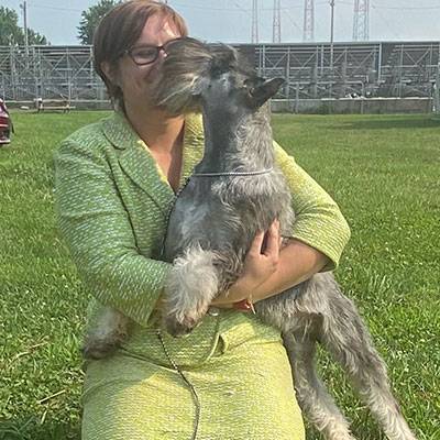 Schnauzers Callout